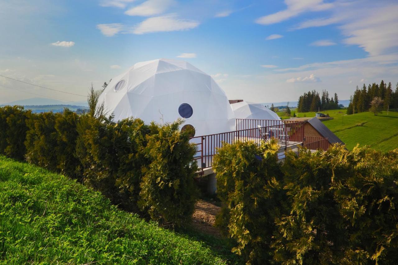 Bed and Breakfast Glamping Gliczarow Klapnioki Leśnica Exterior foto